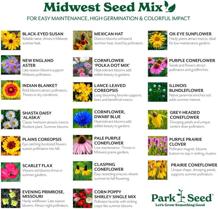 Park Seed Perennial Wildflower Garden Seeds - Midwest Regional Mix, 10 lbs - Image 3