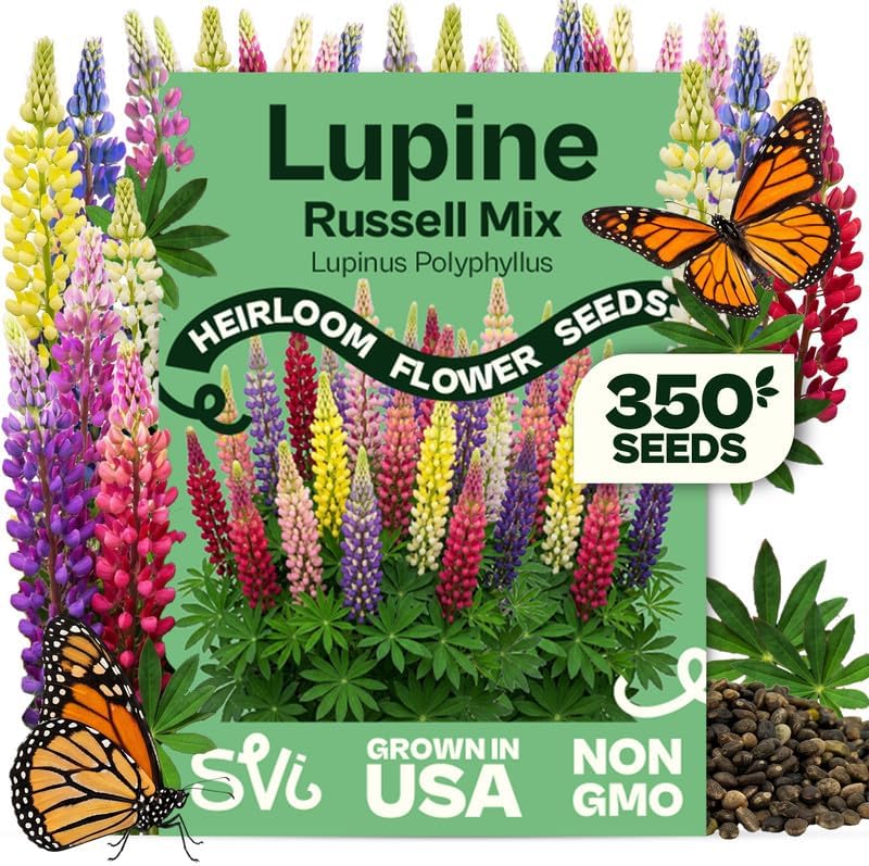 SVI 350 Mix Russell Lupine Seeds (Lupinus polyphyllus) – Heirloom Perennial Lupine Seed Packets, Wildflower Seed Mix – Cut Flower Seeds for Flower Garden, Borders & Meadow Planting Outdoors by SVI