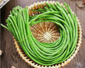 Bean Seeds for Planting Vegetables and Fruits.Pole Beans,Bush Beans,Romano Beans.Non GMO Garden Seeds for Home Vegetable Garden(6g,30+) Yardlong Pole Bean Seeds for Planting,Yard Long Asparagus Bean豇豆 by HipGirl