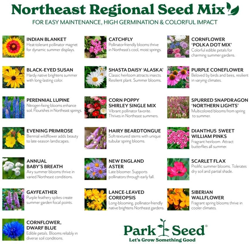 Park Seed Grow Your Own Vibrant Annual and Perennial Wildflower Garden Seeds Mixture, Easy to Grow Varieties for Pollinators and Spring Gardens - Northeast Regional Mix, 5 lbs - Image 3