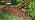 Scotts EZ Seed Patch & Repair Sun and Shade, 3.75 lbs. (6-Pack) - Image 7