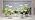 LBW Grow Lights for Indoor Plants, Full Spectrum Halo Grow Light with Base - Image 7