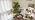 Grow Lights for Indoor Plants, Clip-On LED Clamp, Single Head - Image 7