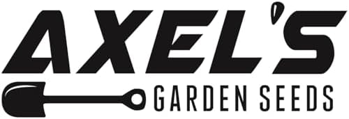 750+ Carrot Seeds for Planting Outdoors - Heirloom Non-GMO - Image 3