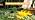 Garden Auger Drill Bit for Planting, Pack of 2 - 1.6" x 16" & 3.5" x 16" - Image 7
