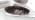 Olivia Garden Ceramic + Ion XL Pro Hair Brush - Paddle Brush for All Hair Types - Smooths and Adds Shine - Image 5