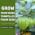 Sow Right Seeds - Toma Verde Tomatillo Seed for Planting Vegetables 3pk - Image 7