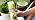 Herb Plant Food – Liquid Fertilizer for All Edible Herbs, 8 oz - Image 7